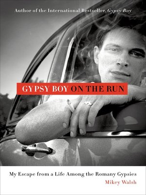 cover image of Gypsy Boy on the Run